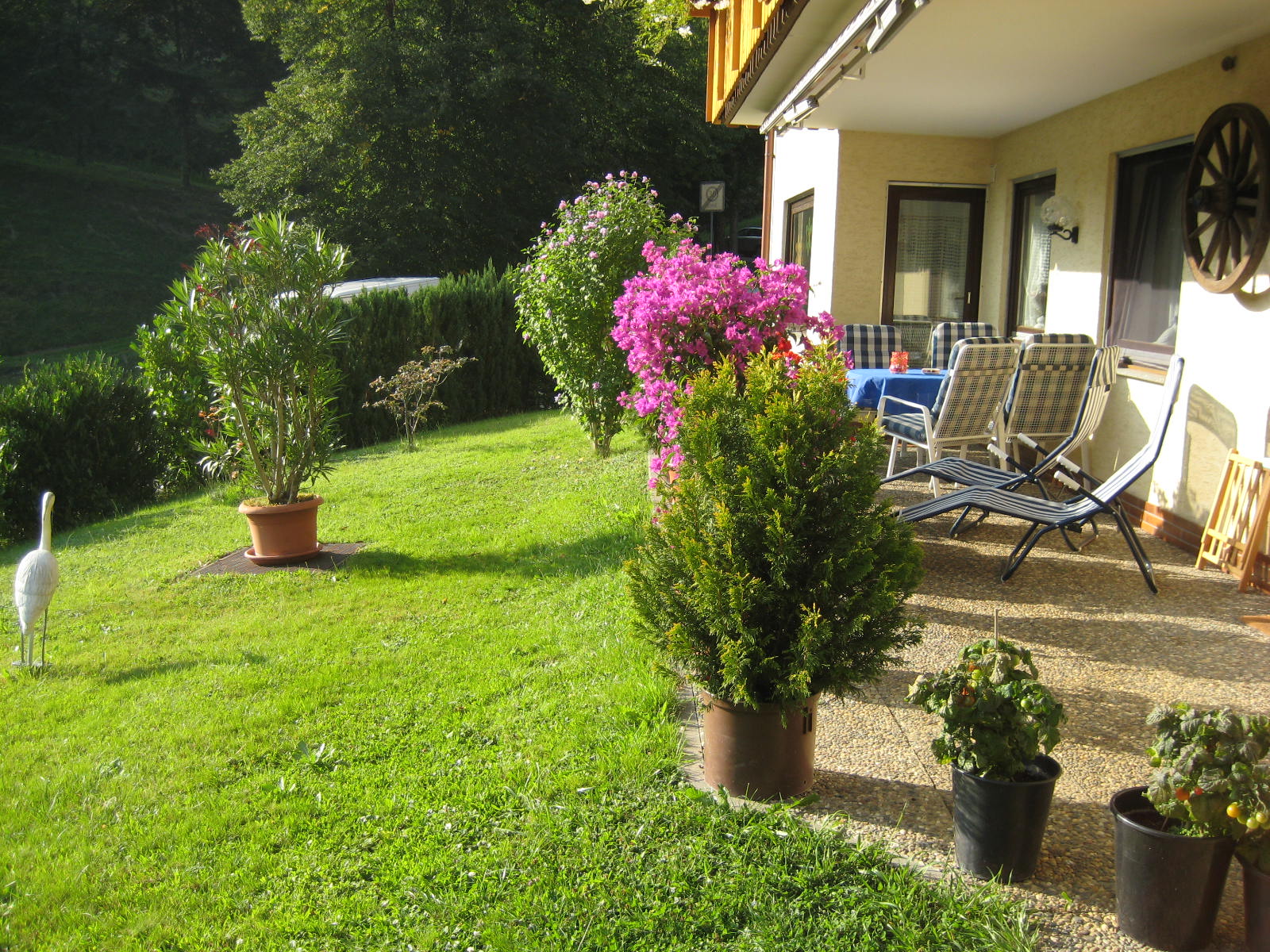 Die gemtliche Sonnen-Terasse.